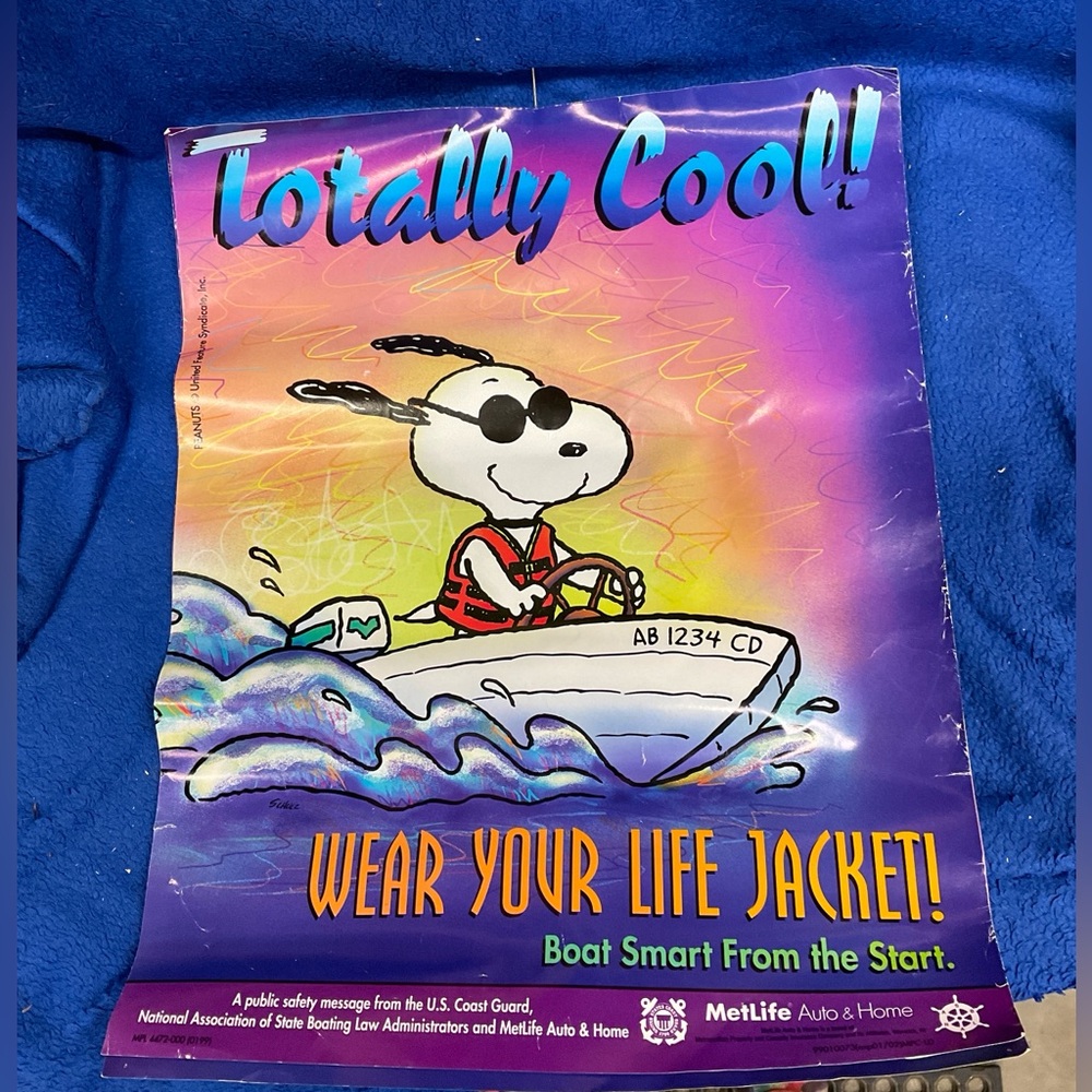 Peanuts Snoopy MetLife Poster